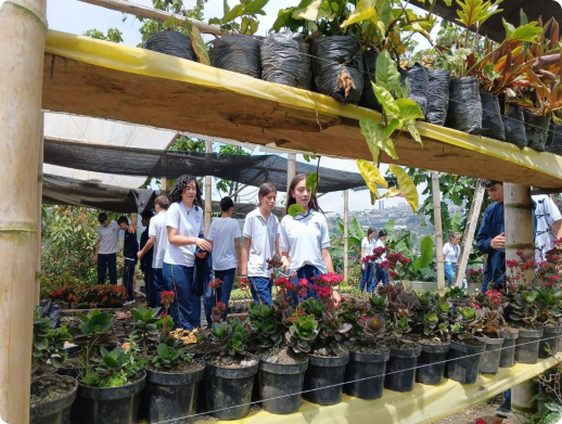 Grupo de personas durante una actividad ambiental en un espacio natural.