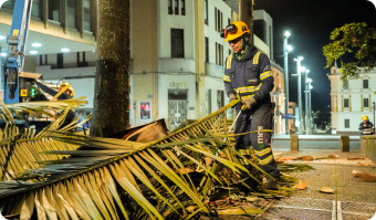 Equipo operativo realizando mantenimiento de zonas verdes.