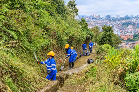Mujeres trabajando en ladera de Manizales